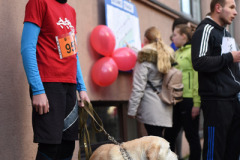 LTVKgerosiosvaigdsbgimaspadovanoksenjoramsKaldas17DSC_0280